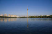 tkf001_303932