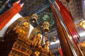 tkf001_303934