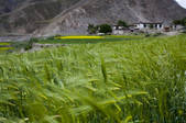 tkf001_304097