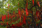 tkf001_304115