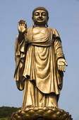 tkf001_304237