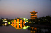 tkf001_304710