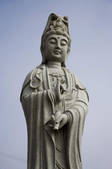 tkf001_305611