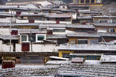 tkf001_305692