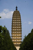 tkf001_306902