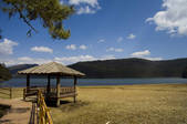 tkf001_306907