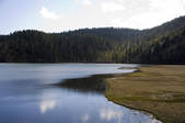 tkf001_306932