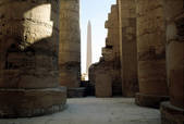 tkf001_307129