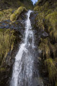 tkf001_307240