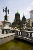 tkf001_307509