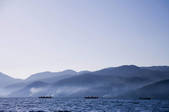 tkf001_308064