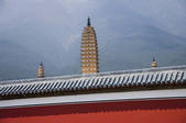tkf001_308228
