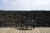 tkf001_308381