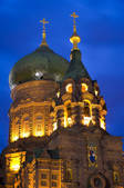 tkf001_308512