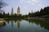 tkf001_308519
