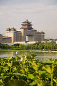 tkf001_309622
