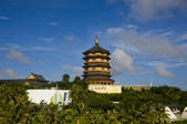 tkf001_310666
