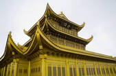 tkf001_310744