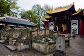 tkf001_311023