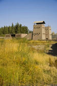 tkf001_311868