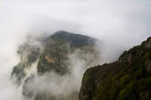 tkf001_312088