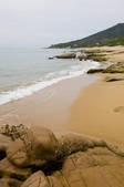 tkf001_312223