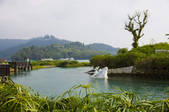 tkf001_312435