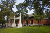 tkf001_313963