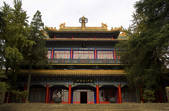 tkf001_315705