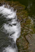 tkf001_323273