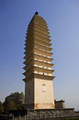 tkf001_324688