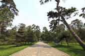 tkf001_333695