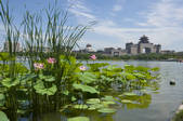 tkf001_336493