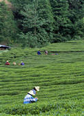tkf001_338223