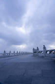 tkf001_338687