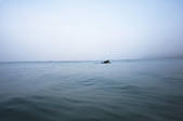 tkf001_850707
