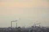 tkf001_389808