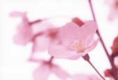 tkf001_392846