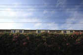 tkf001_395582