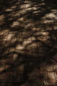 tkf001_395590