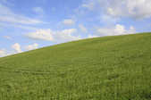 tkf001_396058