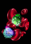 tkf001_403084