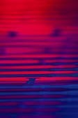 tkf001_404768
