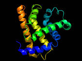 tkf001_405077
