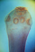 tkf001_407571