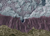 tkf001_409402