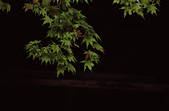 tkf001_755303