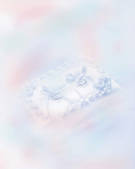 tkf001_762952