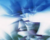 tkf001_763336