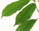 tkf001_766601